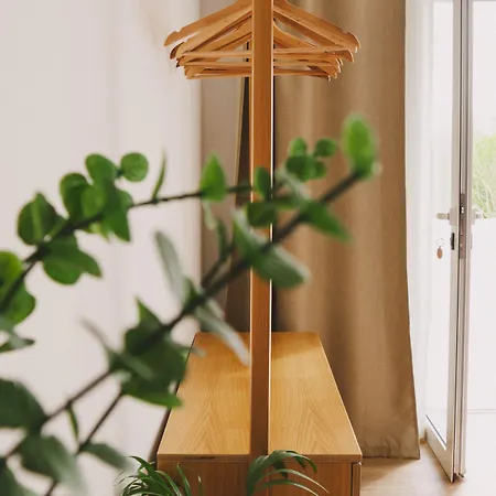 Pure Flor De Esteva 빌라도비스포