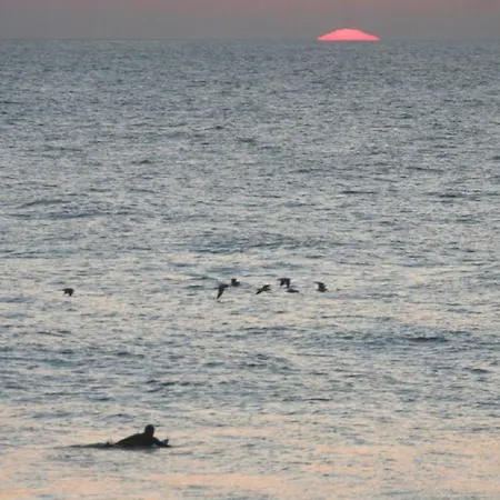 Pure Flor De Esteva 4*