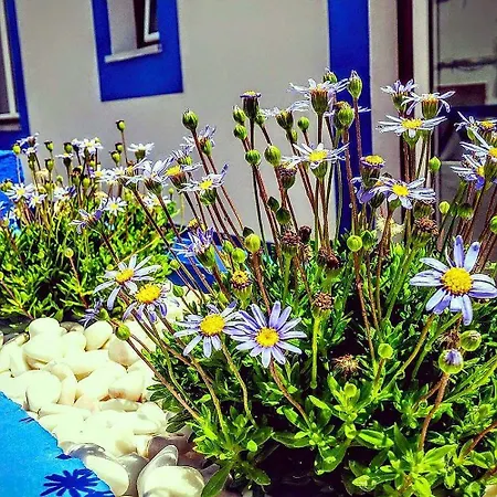 Pure Flor De Esteva Nocleg ze śniadaniem Vila do Bispo